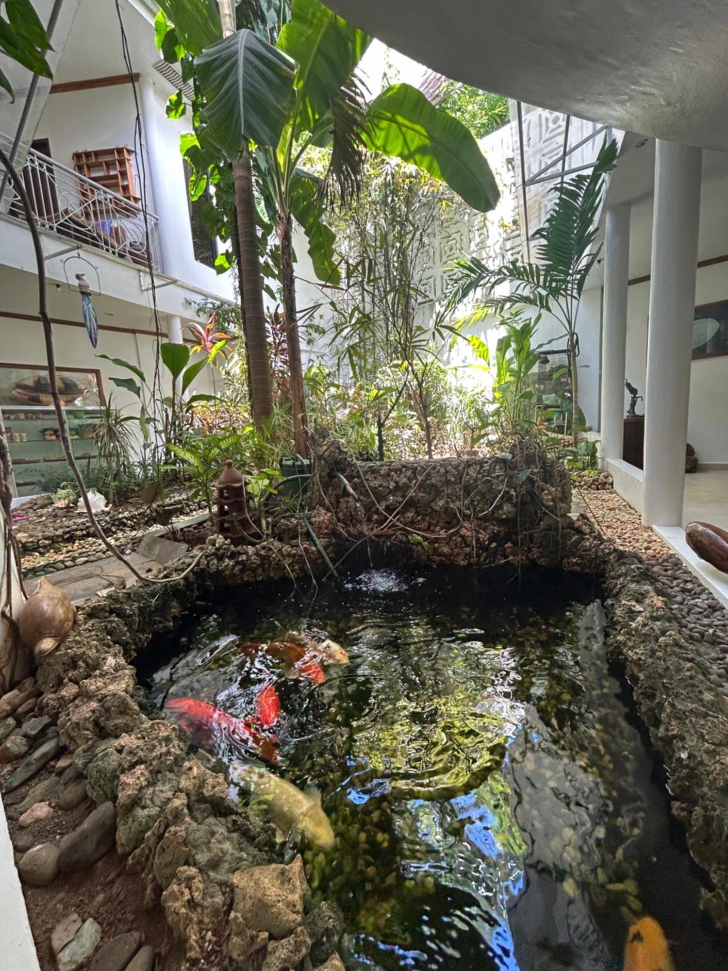 Argonauta Boracay Apartment Suites And Villas Boracay Island Dış mekan fotoğraf